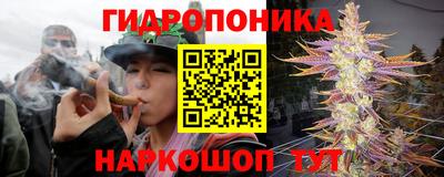 тгк Камышлов
